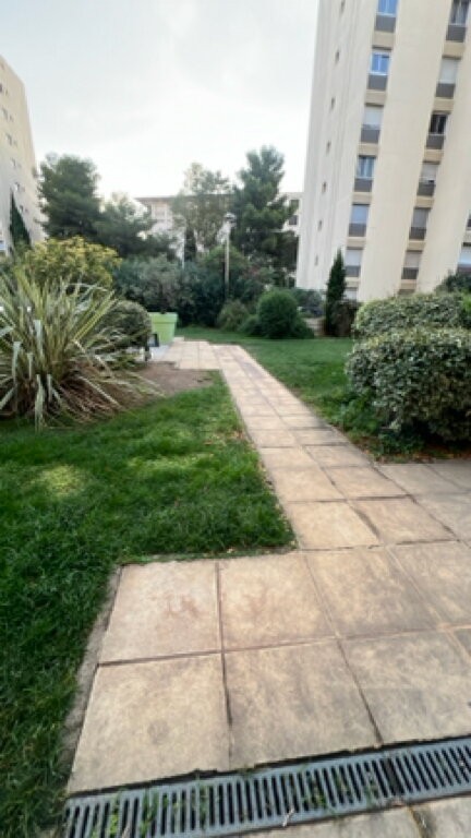 Allée et pelouse