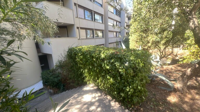 Haie le long d’une allée
