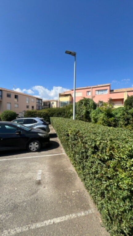 Haie en bordure de parking