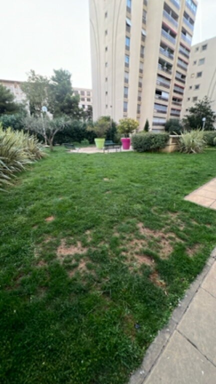 Pelouse de résidence